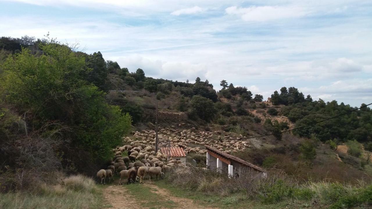 Villa Casa Rita Morella Exterior foto